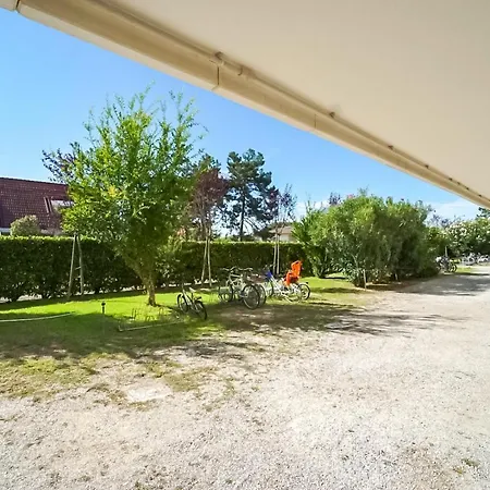 Azalee * Bibione